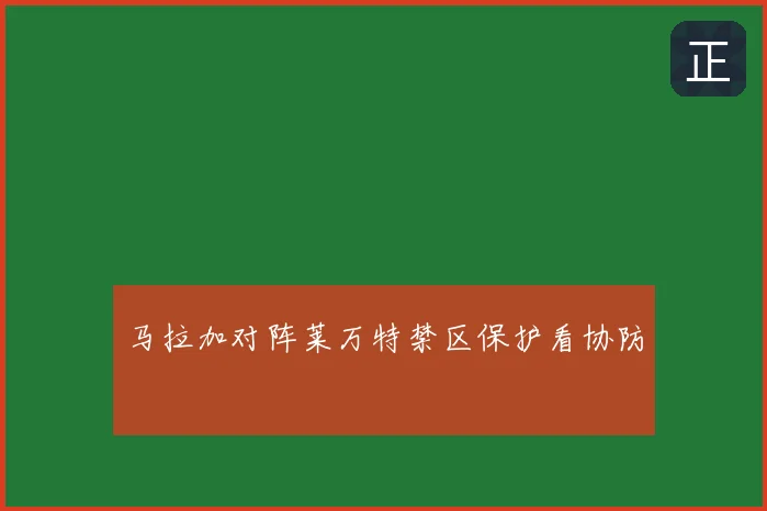 马拉加对阵莱万特禁区保护看协防